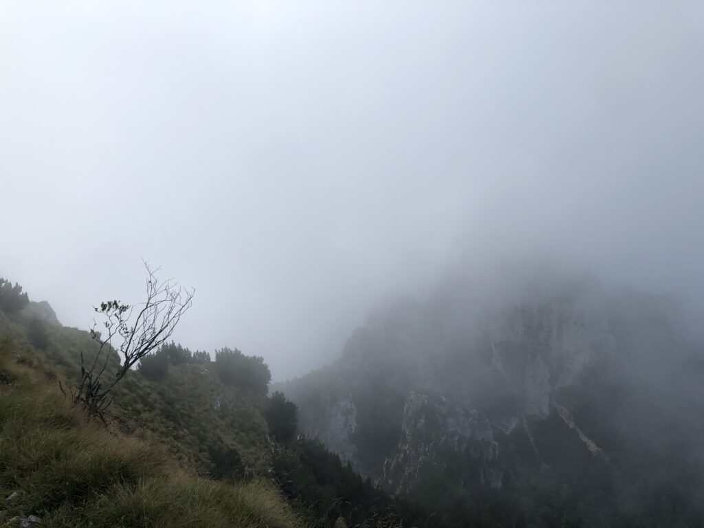 2020-09-08 10.36.05